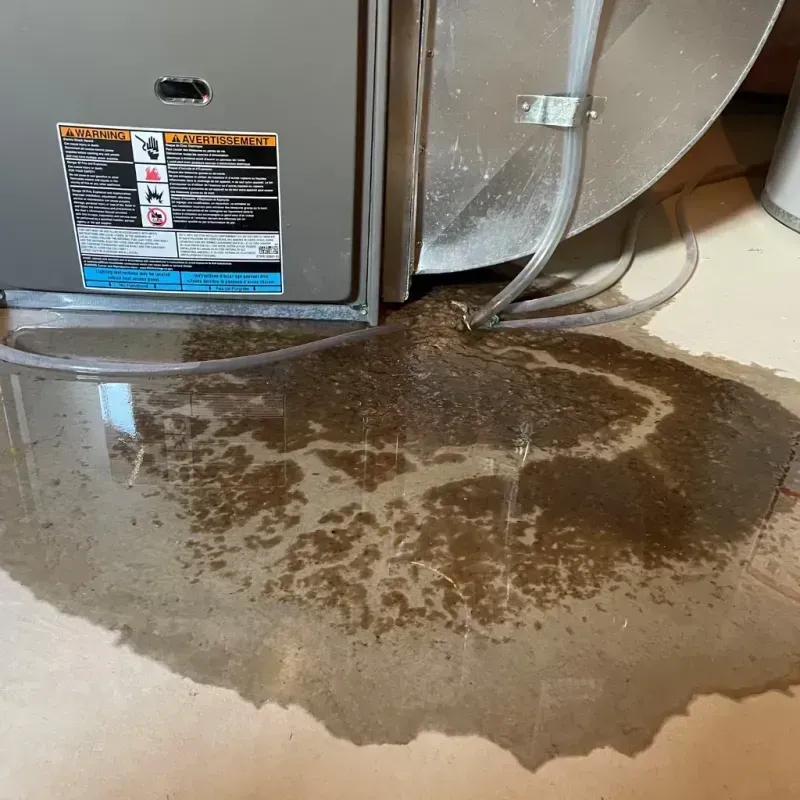 Appliance Leak Cleanup in Muskogee, OK